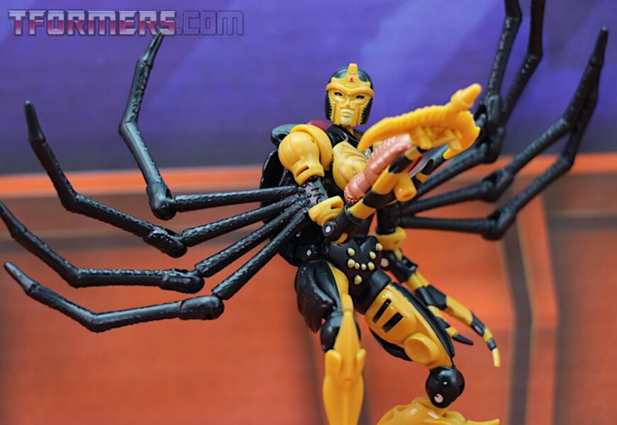 Transformers Kingdom Blackarachnia  (7 of 46)